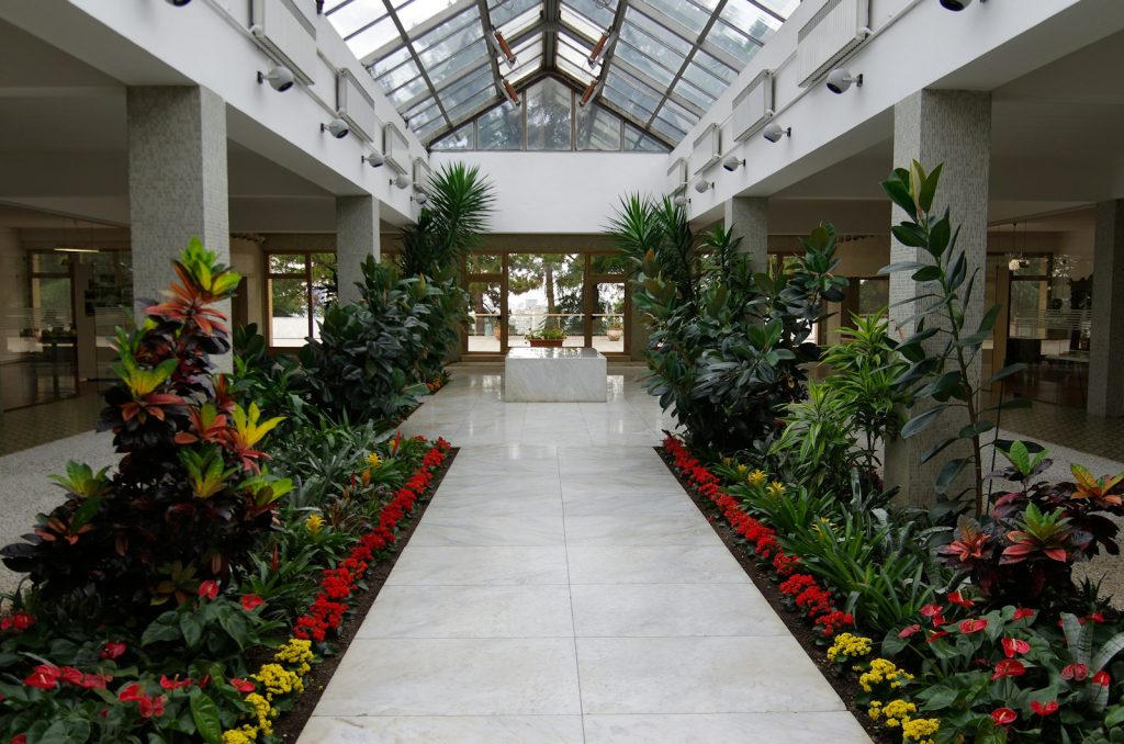 Bright indoor walkway with lush green plants and flowers.